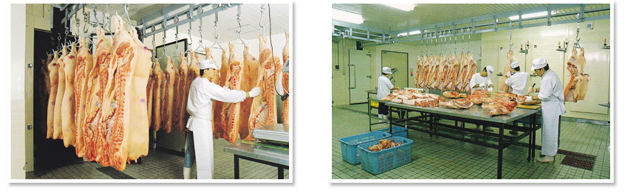 食肉卸・加工イメージ