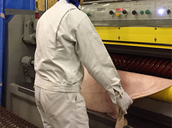 原皮イメージ02